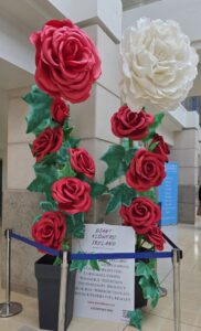 St James hospitalinstalation