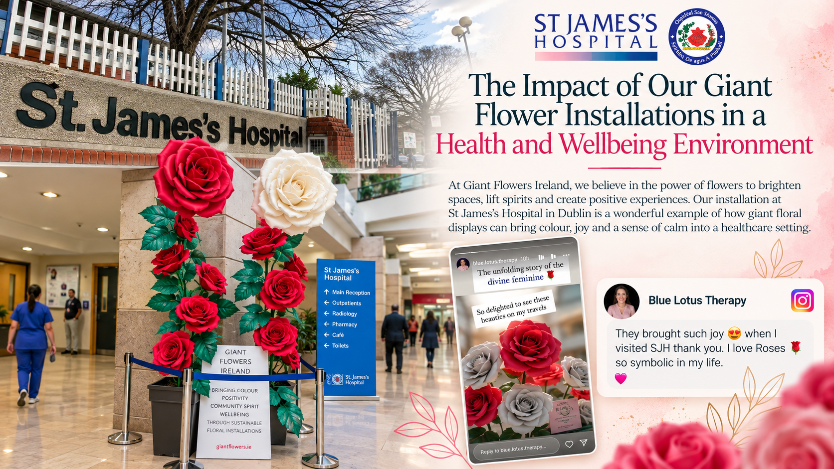 The Impact of Our Giant Flower Installations in a Health and Wellbeing Environment